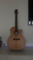 Stanford Acoustic Guitar, Studio 49 G ECW - Perfect Sound!