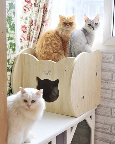 Cucce & Letti: CatS Design "Step 2 Kätzchenbettchen" CH – Nuovo e nell'imballaggio originale da Mönchengladbach venduto da Zoopplier 5