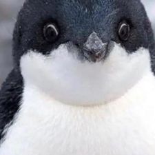 Profile image of Phil.hotti