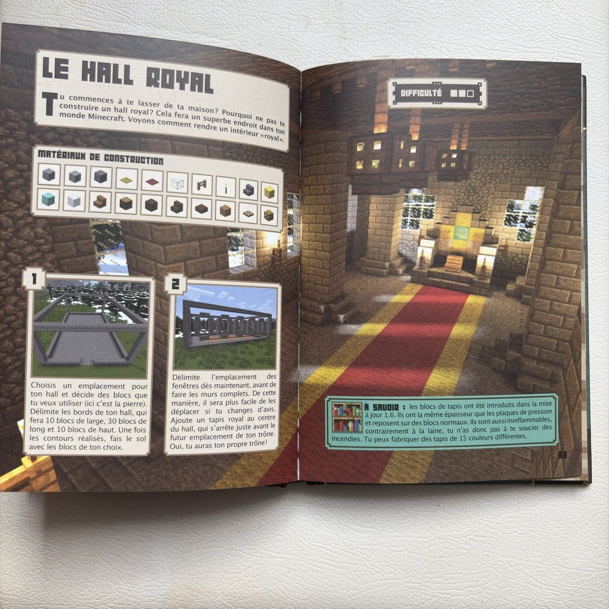 Bücher: Livre Minecraft – Neu (gemäss Beschreibung) aus Moudon von TigerrrEye 3