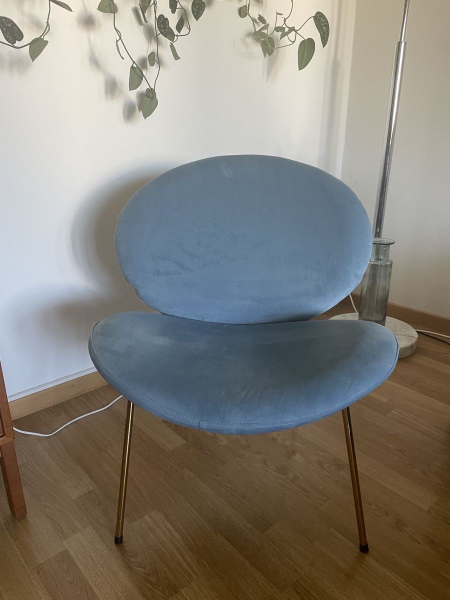 Poltrone: Velour Sessel – Usato da Zürich venduto da 0r97 3