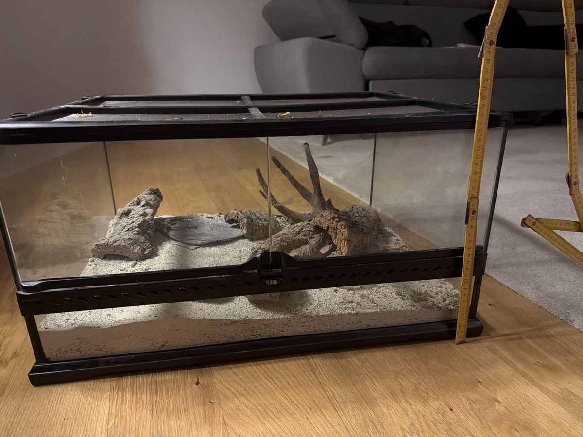 Terrariums: Exo terra Terrarium – D'occasion à Horgen par bok_6ttc 2