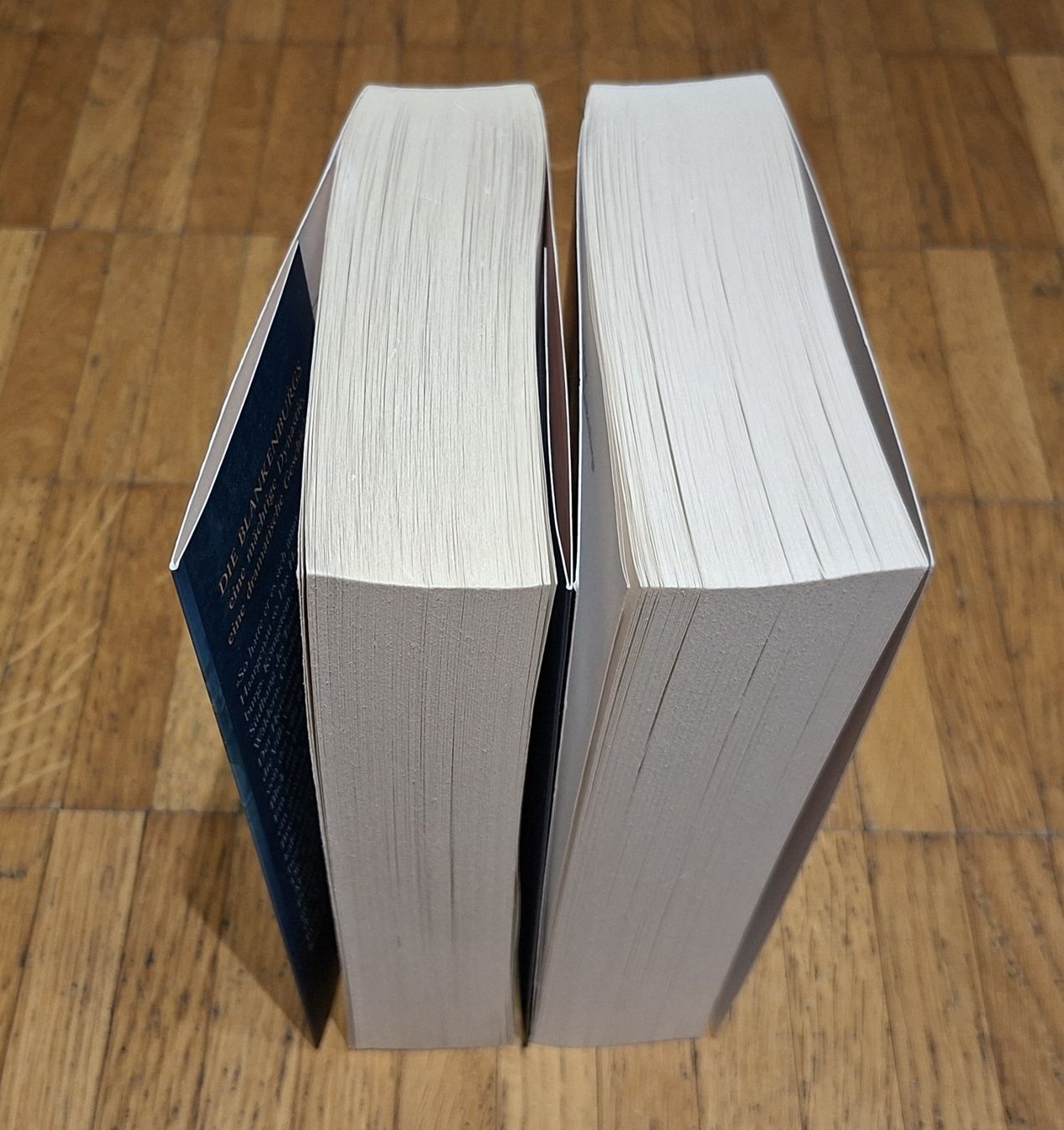 Bücher: Eric Berg: Die Blankenburgs Romane, Band 1 und 2 – Gebraucht aus Dietikon von Rabia 1