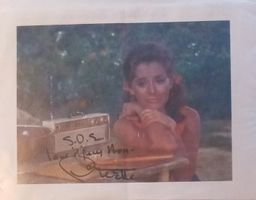 Dawn Wells 1938-2020 Autogramm signiert Bild 15x21cm