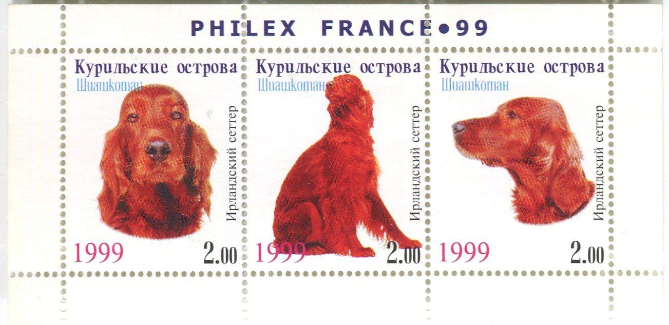 Tutti i francobolli: Block "Irish Setter". Kurilen. – Nuovo e nell'imballaggio originale da Basel venduto da Butsch5