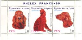 Block "Irish Setter". Kurilen.