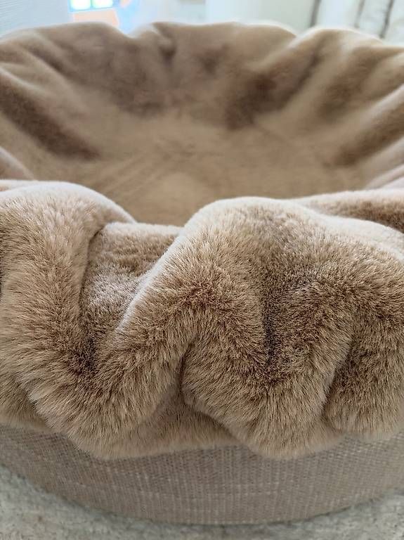 Letti: Dogspringbett – Nuovo e nell'imballaggio originale da Richterswil venduto da koe_n6fl 4