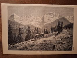 GRUTSCH-MURREN