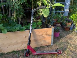 Stuntscooter MX Treme rot guter Zustand