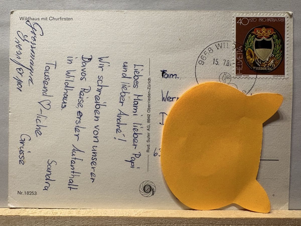 Cartes postales: AK von Wildhaus mit Churfirsten – D'occasion à Rümlang par Kartenpost1 1