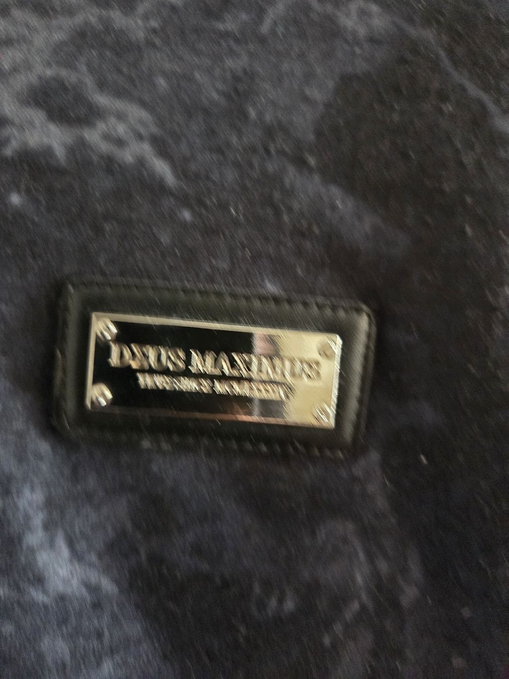 Maglioni & Felpe: Deus Maximus Zipper – Usato da Zürich venduto da Valerio__ 3