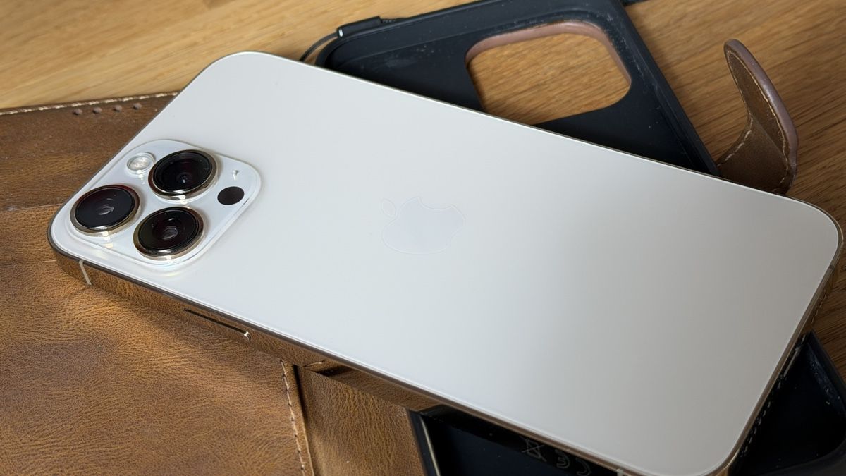 Apple Telefoni cellulari / Smartphones: iPhone 13 pro max – Usato da Neuendorf venduto da gambo01 1