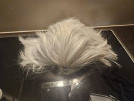 Cosplay/Fasnacht/Larp Perücke mit weissem Haar