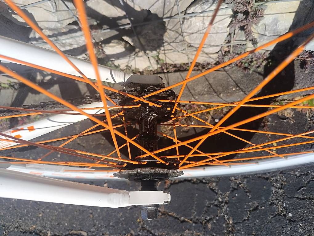 Biciclette: Single Speed GT  – Usato da Uetendorf venduto da hof_2rmq 2