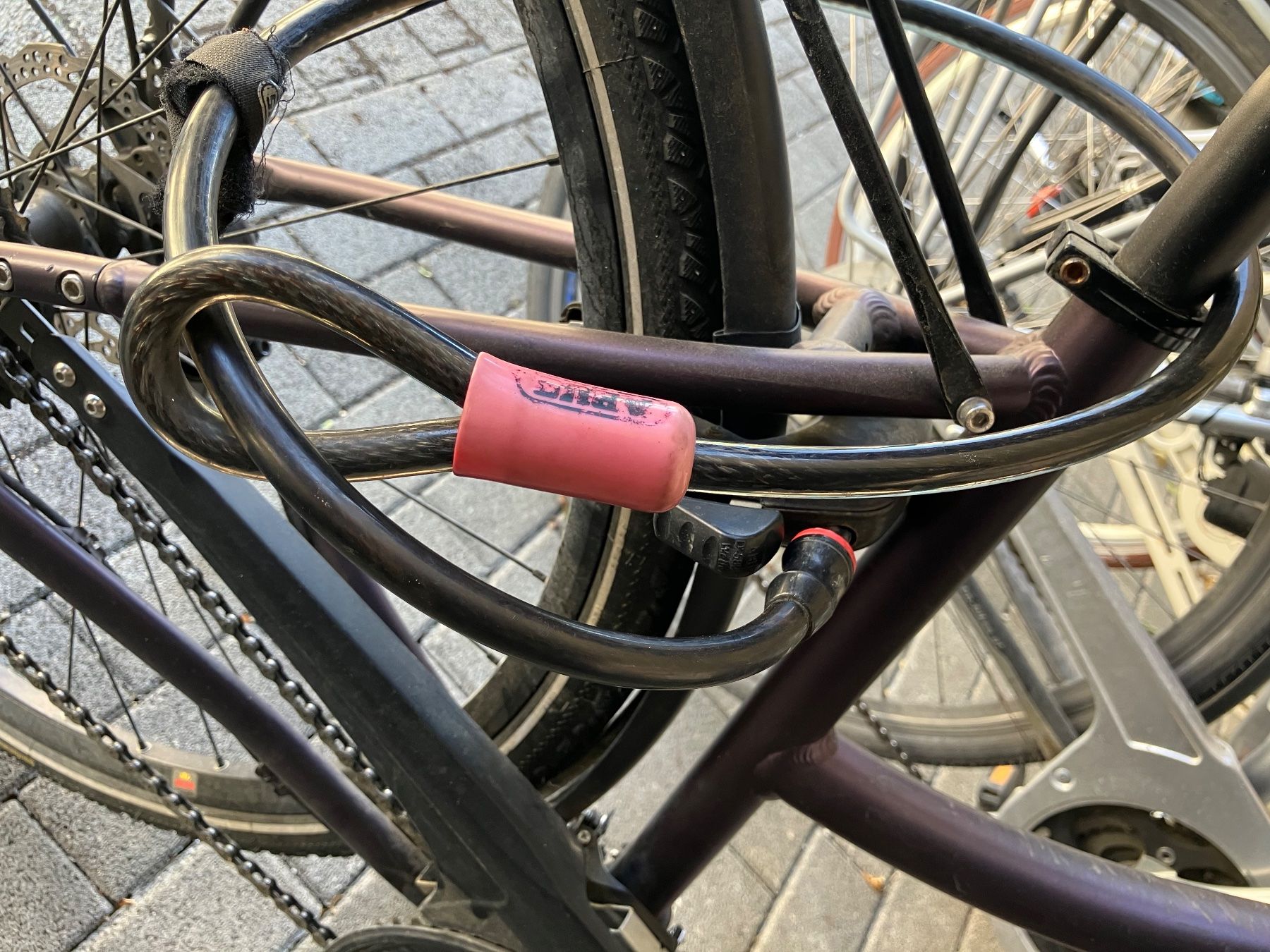 MTB Cycletech Biciclette: Velo MTB Cycletech, Grösse S – Usato da Winterthur venduto da Patipippilotta7 2