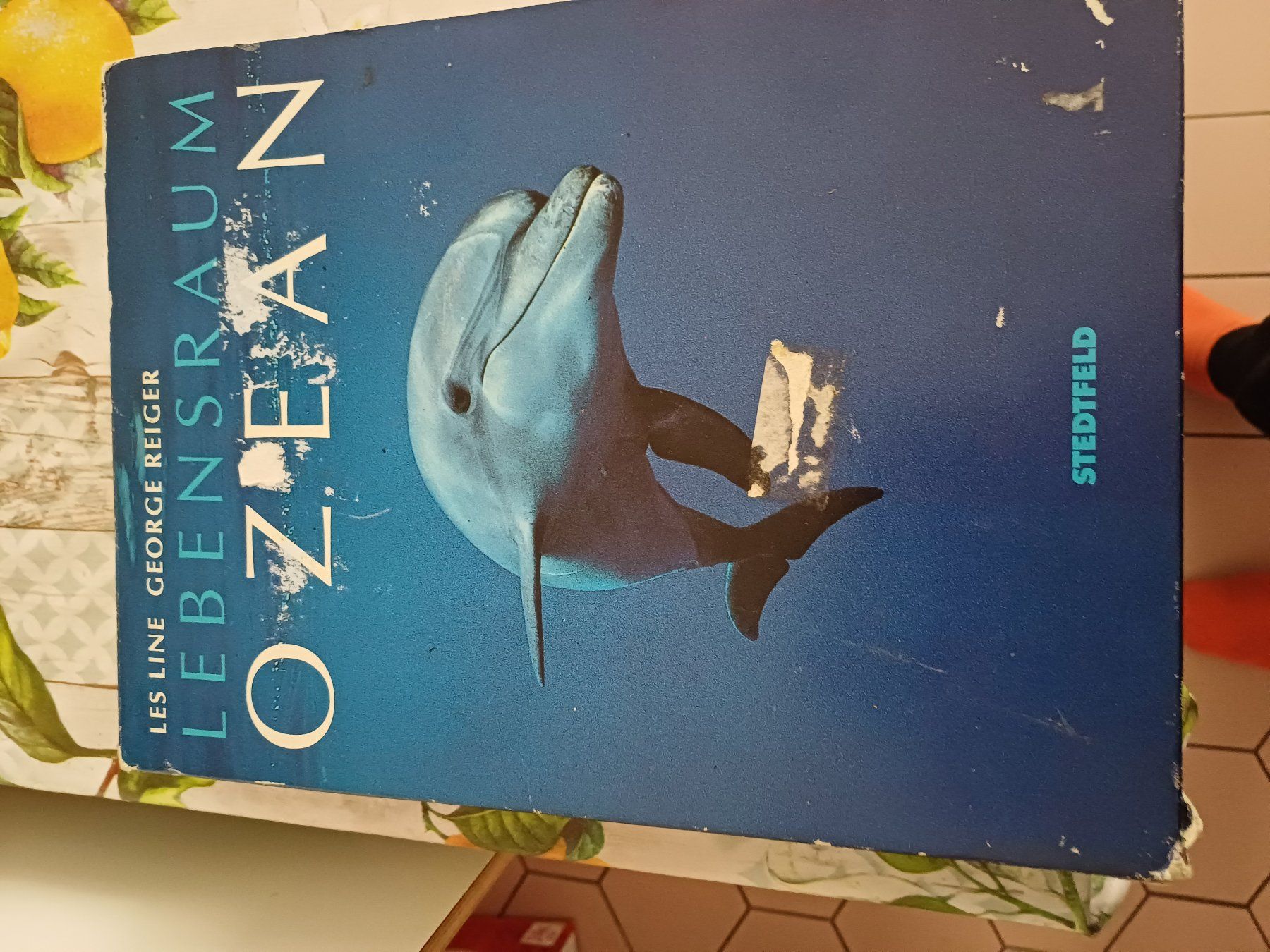 Libri: Bildband Ozeane – Usato da Zürich venduto da regaflo
