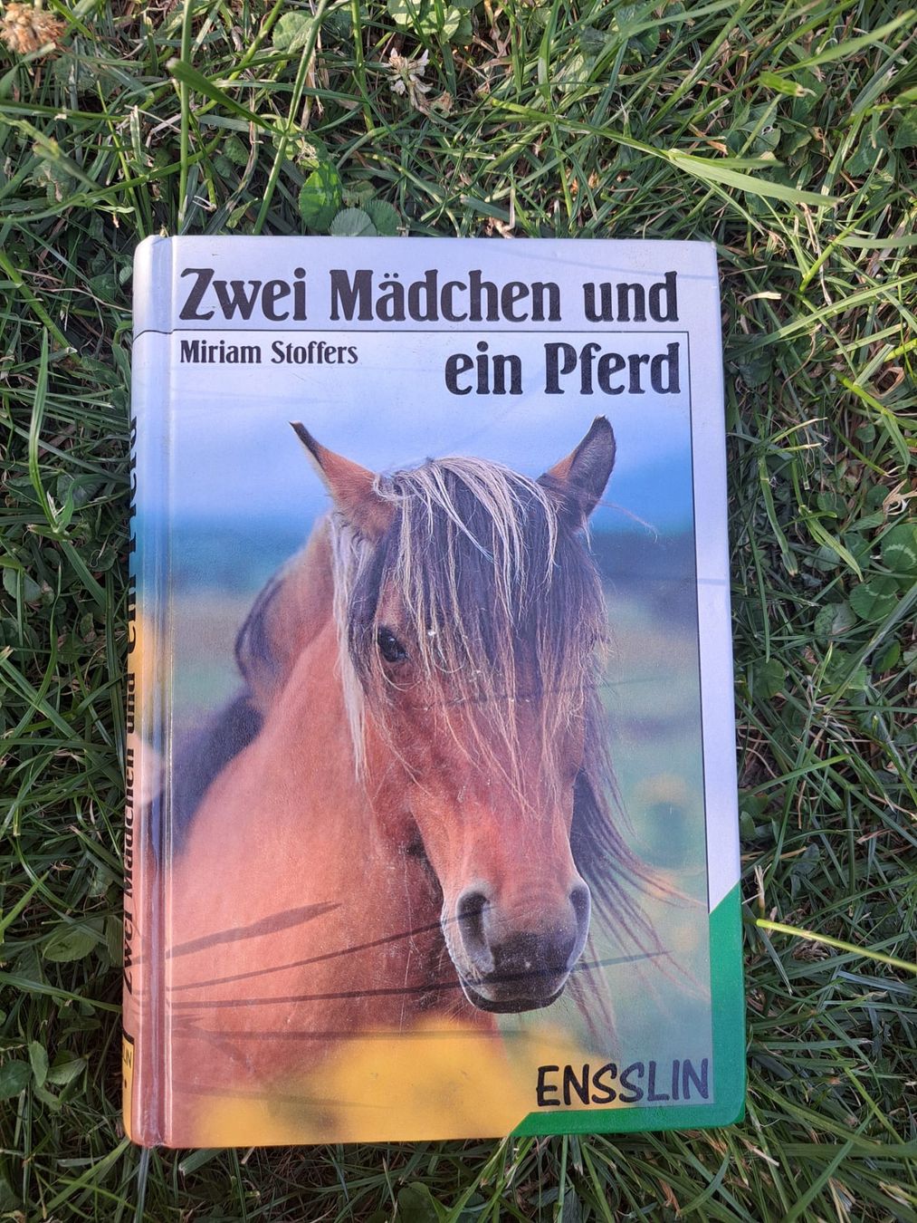 Bücher: Pferdebuch – Gebraucht aus Dachsen von Mickymausi