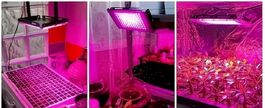 Volllicht - LED - Pflanzenlampe (216 LED's !)