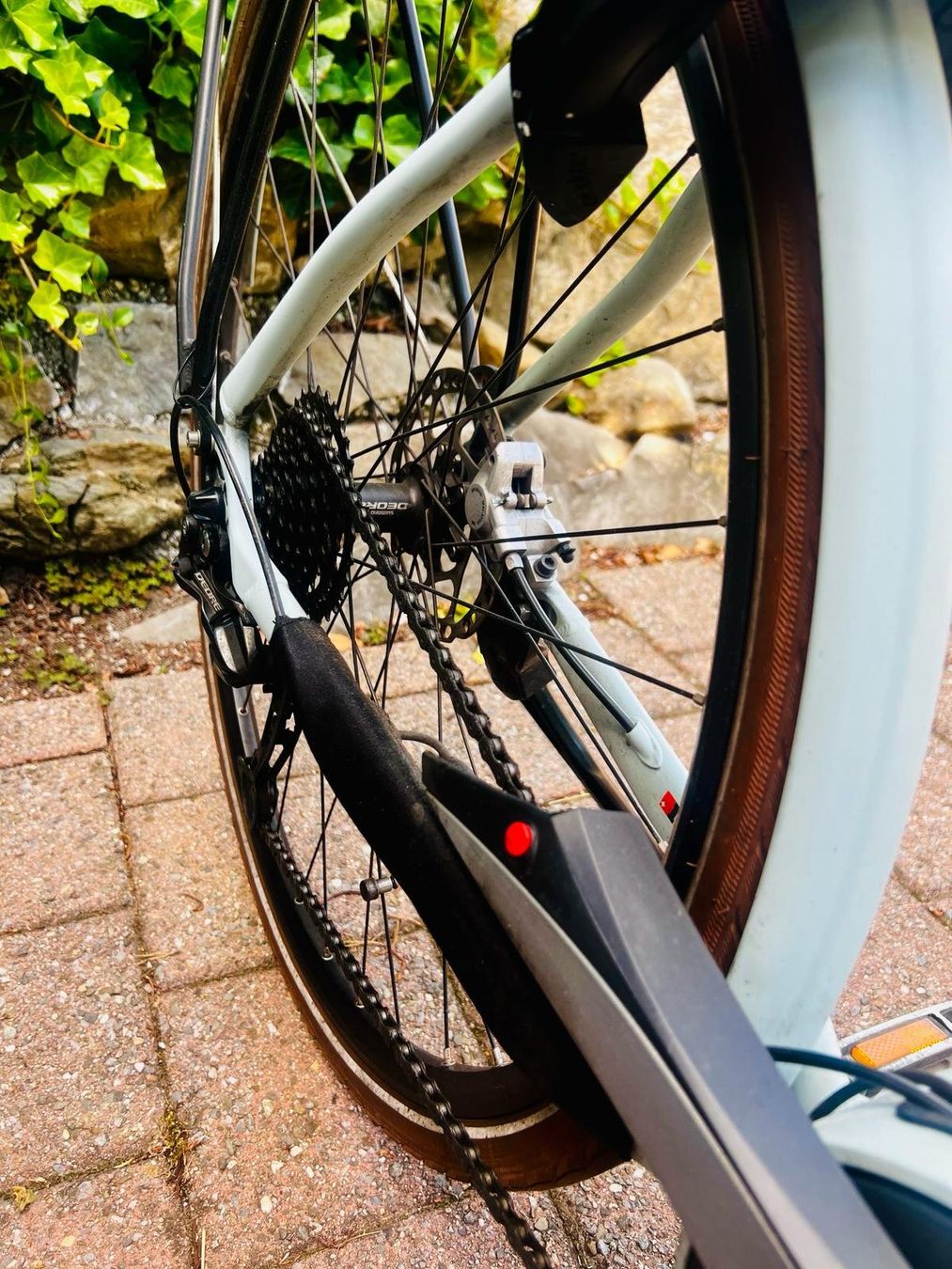 Ibex Biciclette: Ebike Ibex eAvantgarde – Usato da Hergiswil NW venduto da Tinu35 5