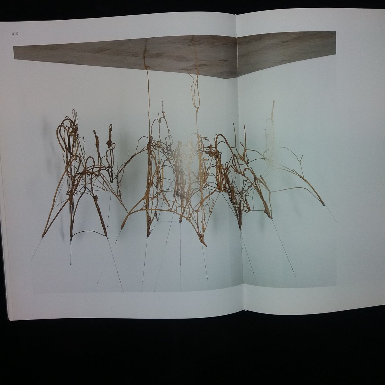 Bücher: KUNSTKLASSIK Eva Hesse – Gebraucht aus Welschenrohr von Regool 7