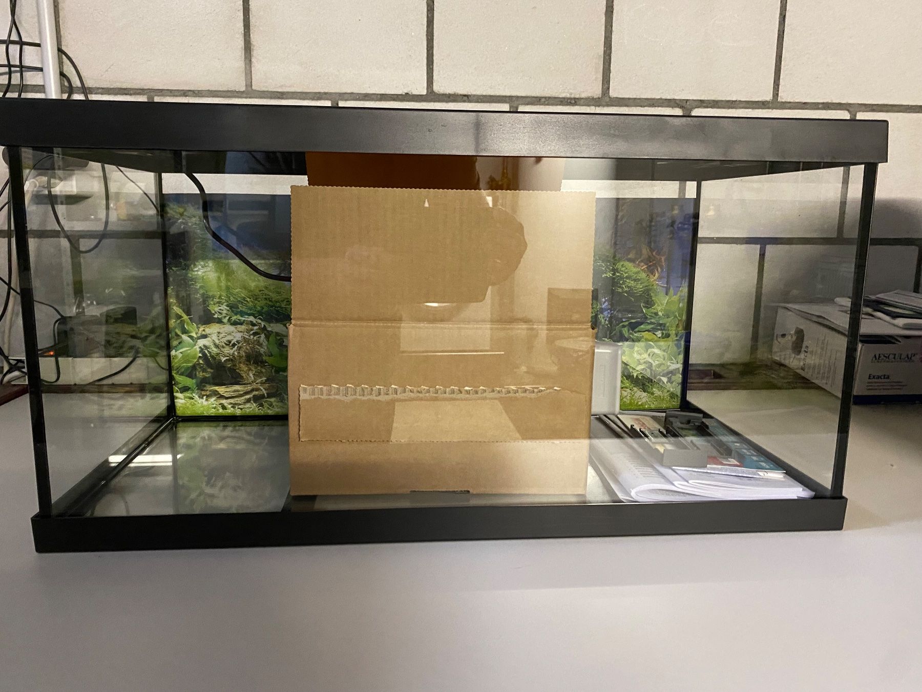 Eheim Acquari: Aquarium Eheim Aquastar 54 LED – Usato da Lüscherz venduto da junior74