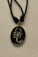 Kette mit Skorpion aus Metall - Grösse verstellbar ✨🦂✨