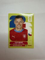 Panini FIFA Tomáš Holeš, CZE 7