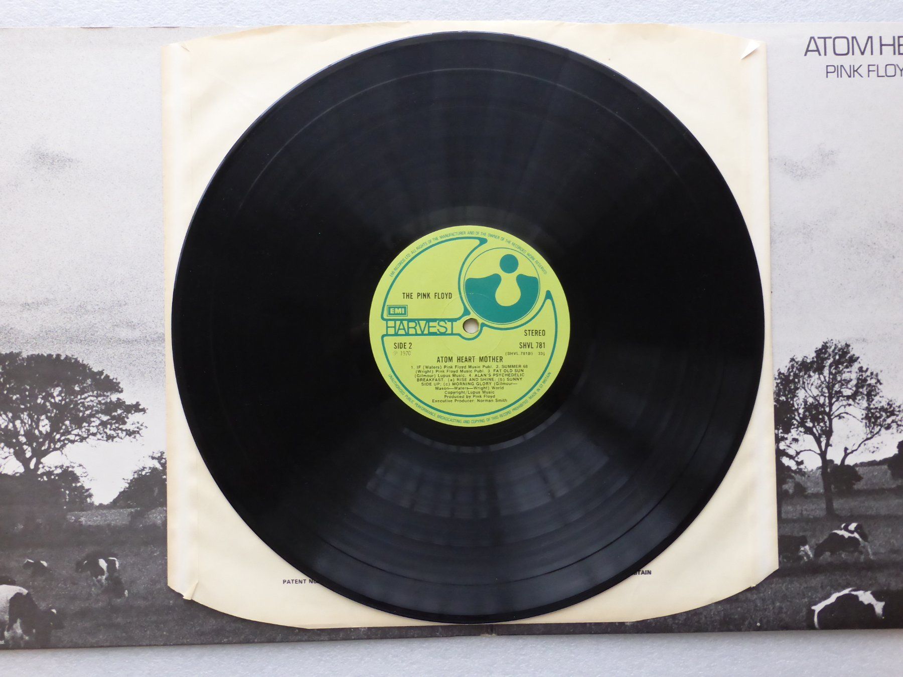 Dischi in vinile: VINYL  LP   PINK FLOYD – Usato da Küssnacht am Rigi venduto da Sunnestrahl 3