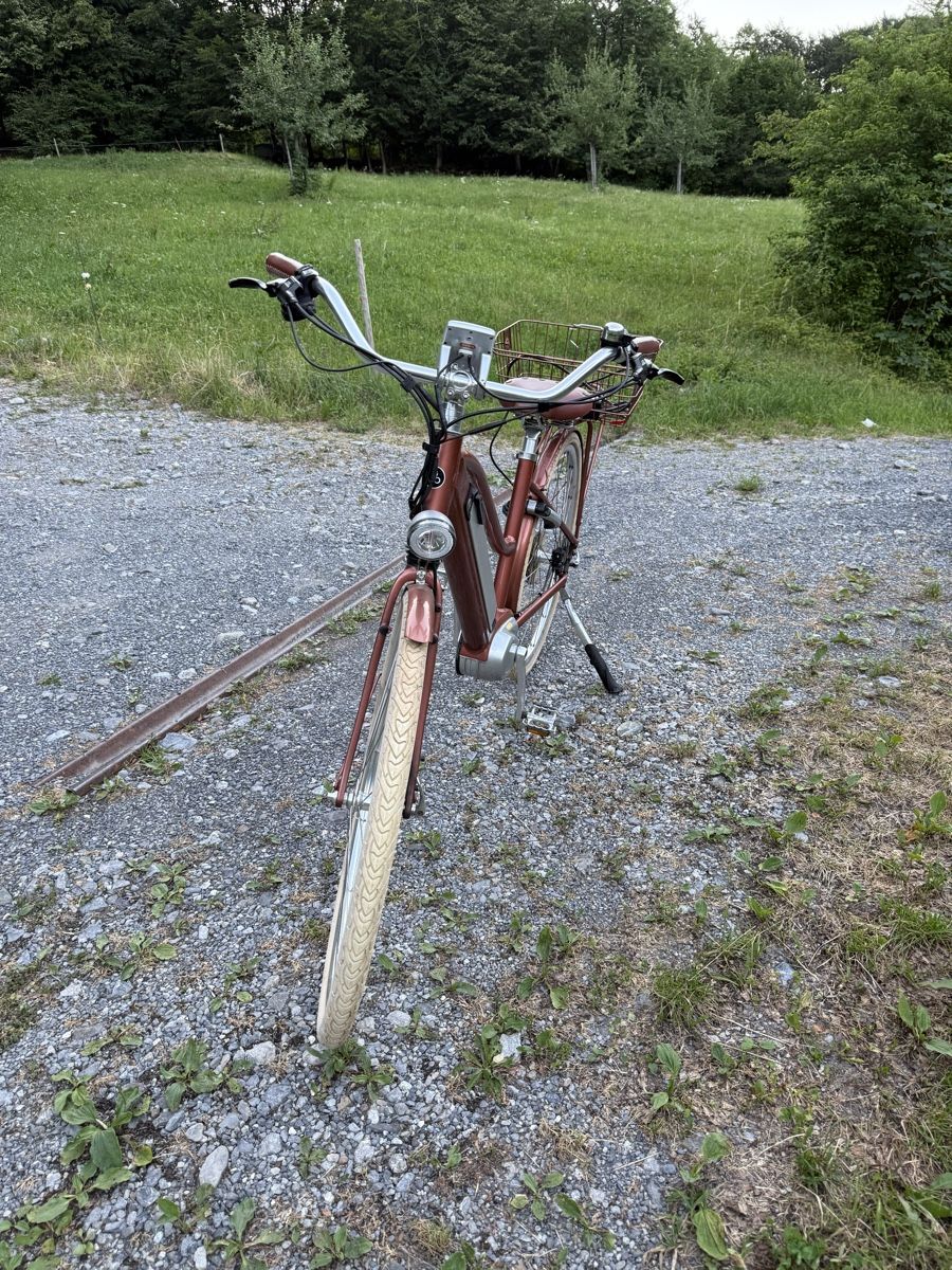 Velos: E-velo mit bafang motor – Defekt aus Schwändi GL von Naldoven 1