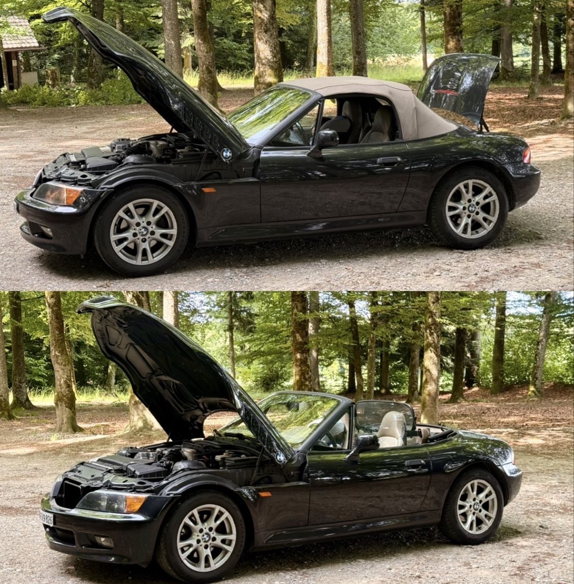 BMW Automobili: BMW Z3 MIT MFK – Usato da Klingnau venduto da amr_tgq7 2