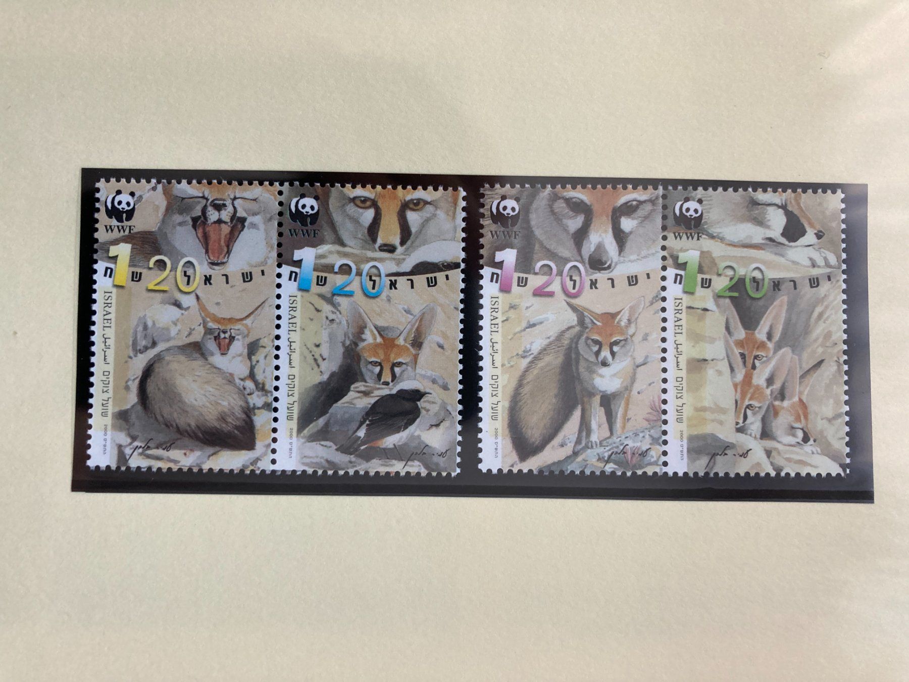 Tutti i francobolli: WWF Israel 2000 Satz Afghanfuchs postfrisch – Nuovo (secondo la descrizione) da Liestal venduto da schnueps