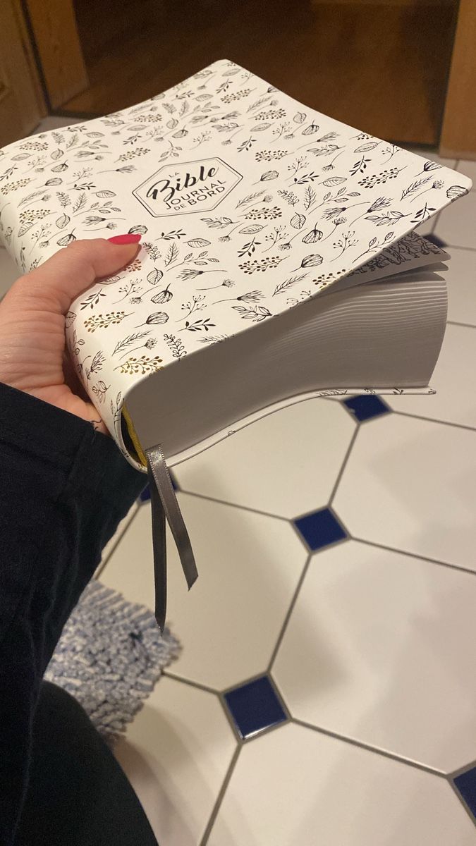 Libri: Bible journal de bord – Nuovo (secondo la descrizione) da Epagny venduto da nie_n5yb 3