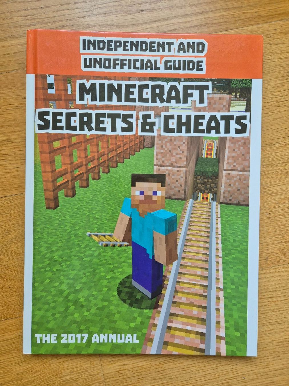 Libri: Minecraft secrets & cheats – Usato da Adliswil venduto da Al05