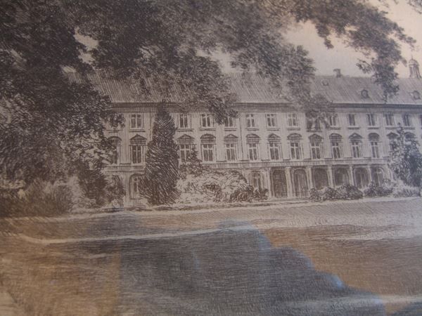 Foto & Immagini: Original Radierung d.Uni Bonn /C.J.Bauer – Usato da Winterthur venduto da Gaia 1