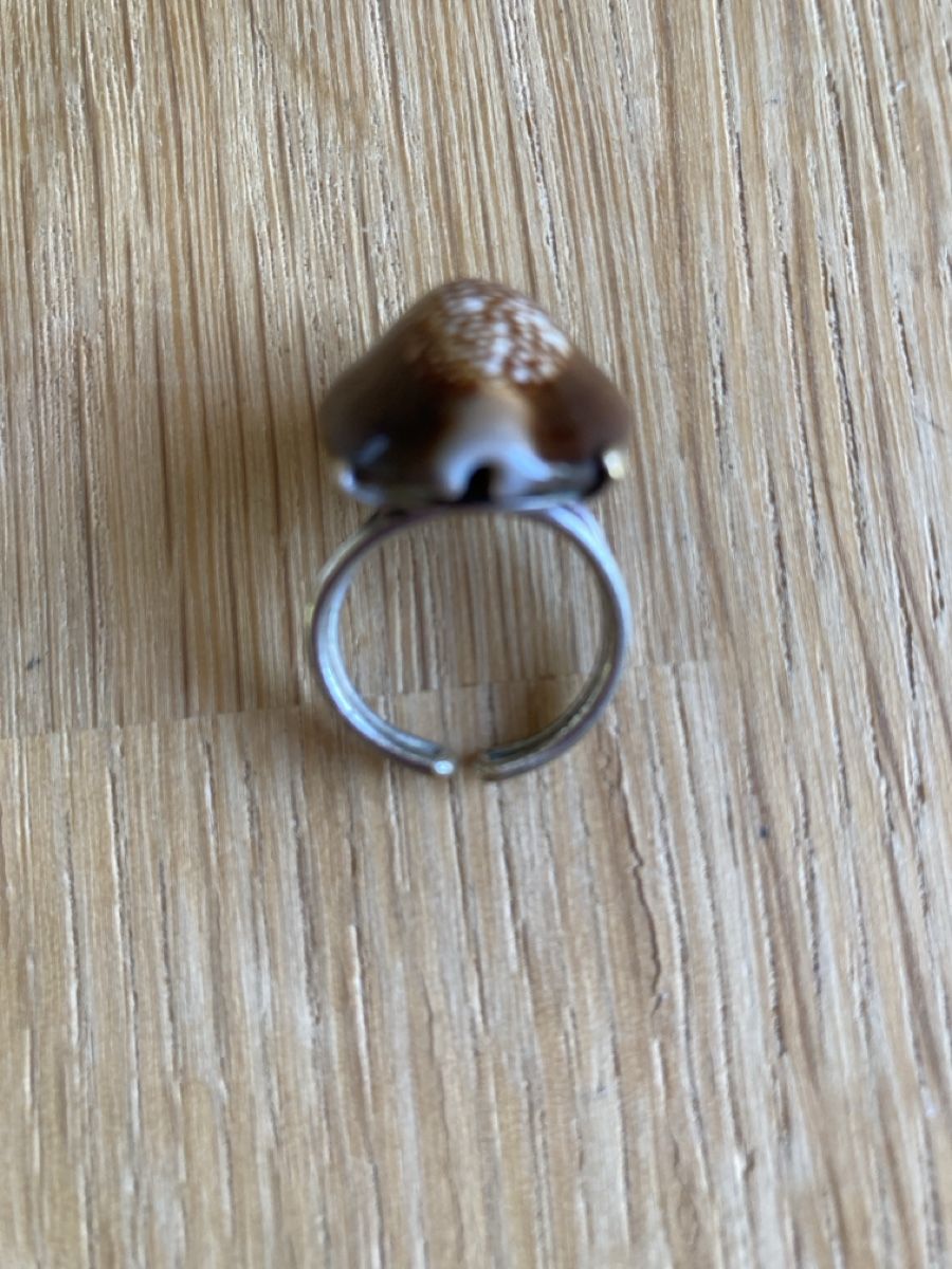 Anelli: Ring mit großer Muschel – Usato da Kirchberg BE venduto da gab_x6wb 1