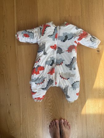 Baby Pyjama Bag Dinosaur Print