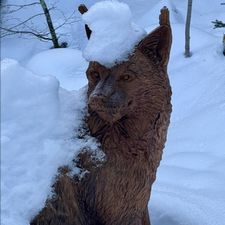 Profile image of grafos53
