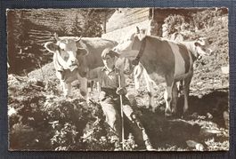 AK Bauernjunge KÜHE Bauernhof um 1930