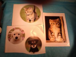 4 grosse Tiersticker, Hunde und Katzen