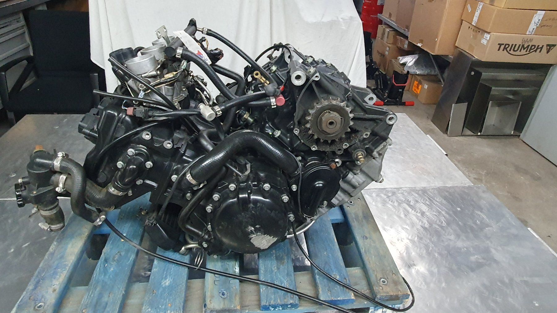 Triumph Alle Motorradersatzteile: Motor Triumph Tiger 955i Jg 2003 – Gebraucht aus Widnau von Staedler2 1