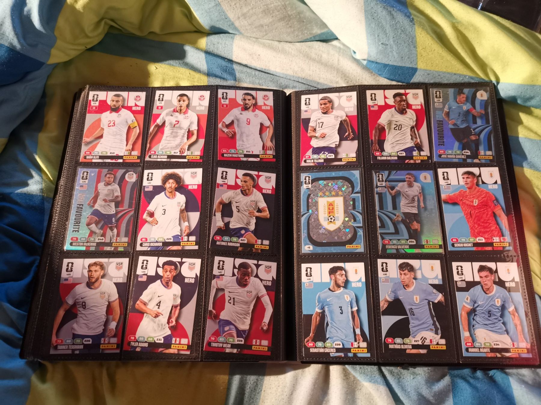 Panini Carte collezionabili: FUSSBALL PANINI BILDER 2026 CA. 500STK. – Usato da Altnau venduto da playboy 5