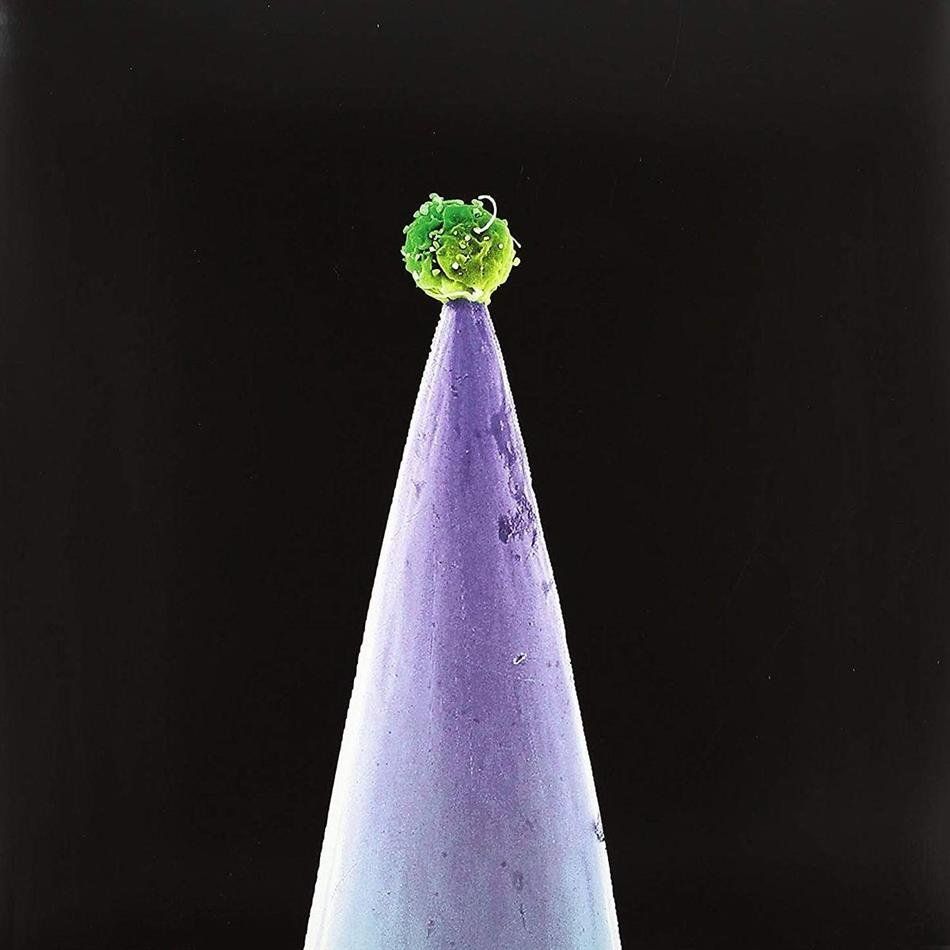 CD: Peter Gabriel - New Blood (2 CDs!) – Usato da Uzwil venduto da visions77