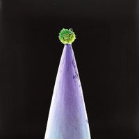 Peter Gabriel - New Blood (2 CDs!)