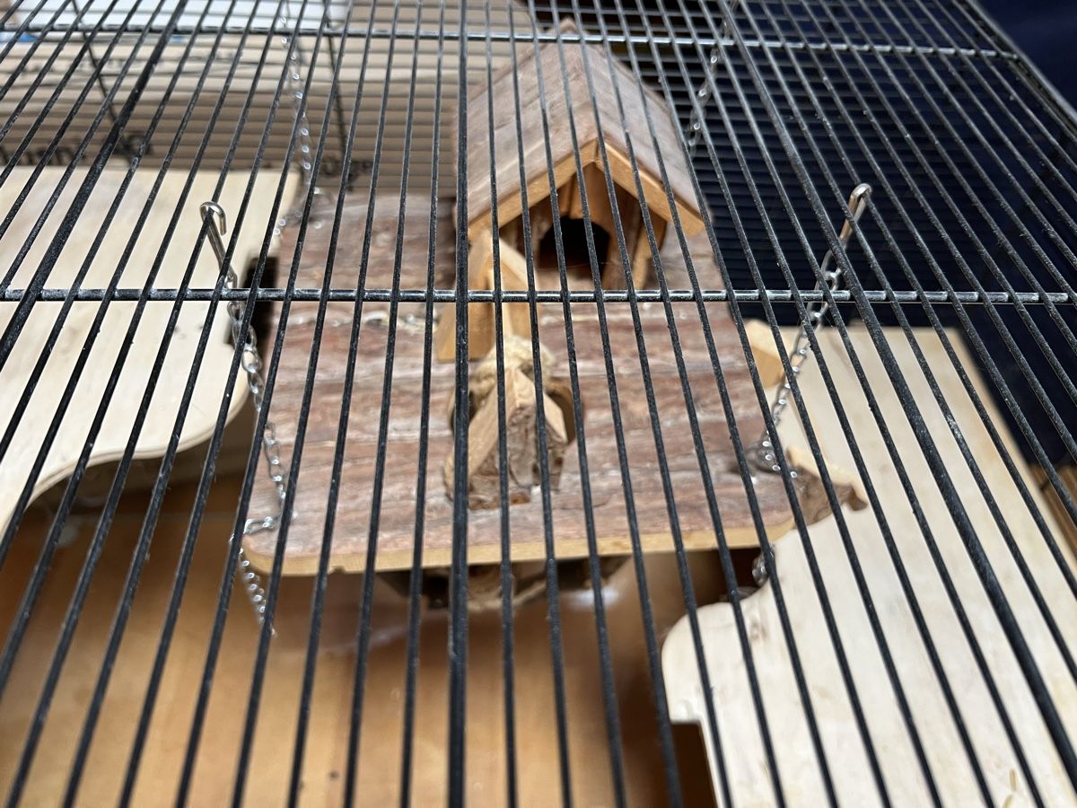 Cages, transport & sécurité: Hamsterkäfig – D'occasion à Grüningen par jomasa 2