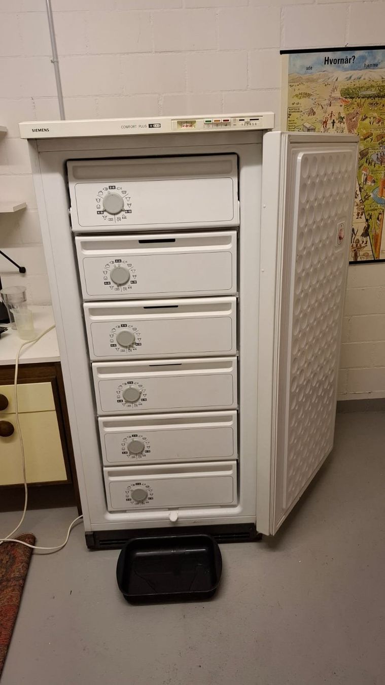 Siemens Gefrierschrank: Gefrierschrank Siemens Comfort Plus – Gebraucht aus Oberrieden von