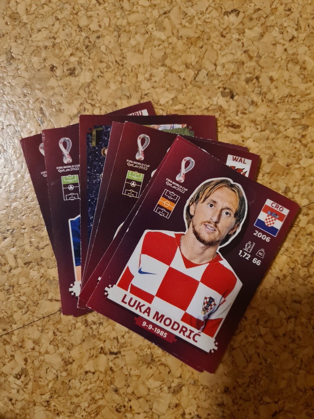 Panini Carte collezionabili: 7 Pannini WM 2022 Karten – Usato da Schwellbrunn venduto da ailine 1