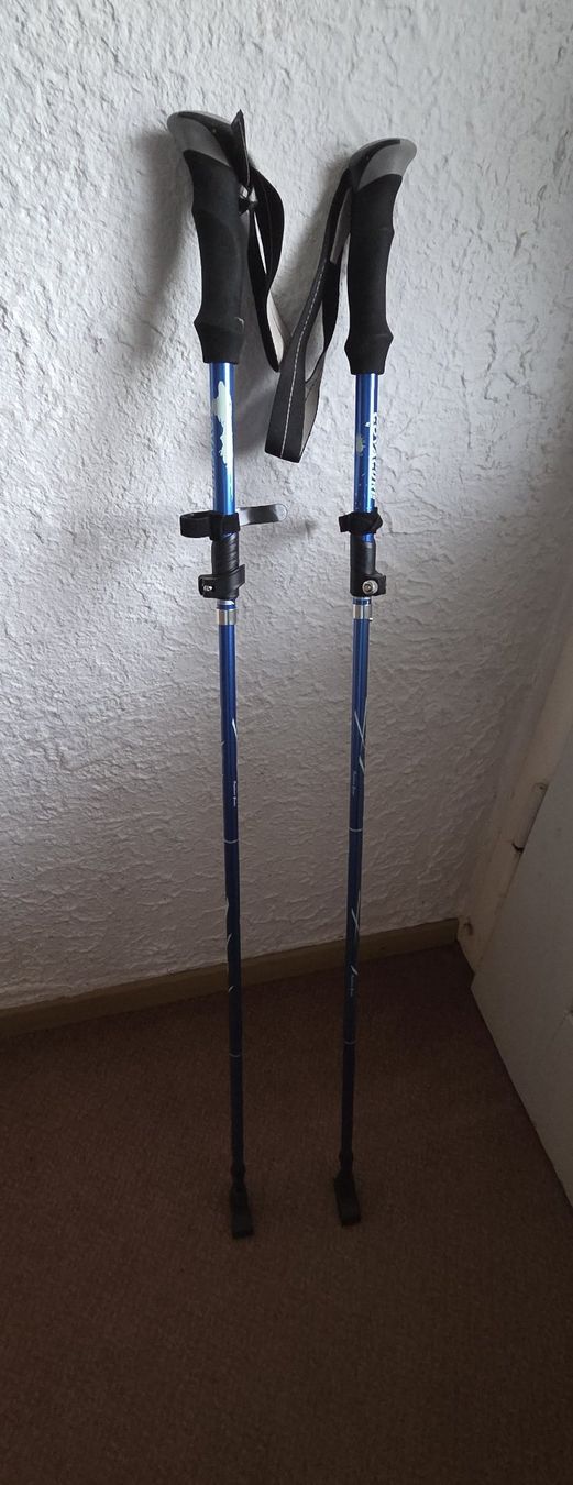 Bastoncini da trekking: Walking Stöcke Blau Faltbar – Usato da Niederbipp venduto da Trude04 2