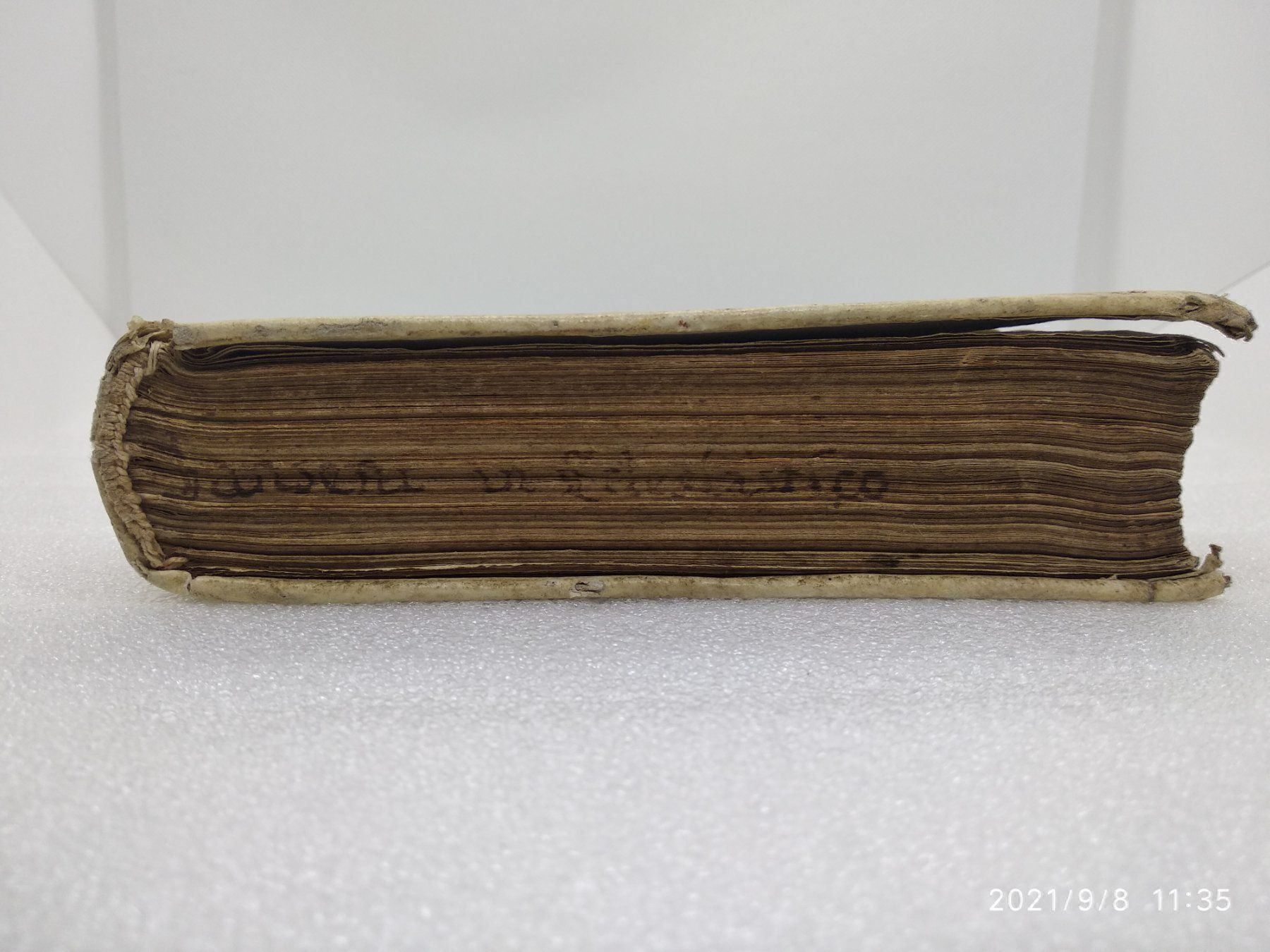 Libri: JANSENIUS - COMMENTARII - 1569 – Usato da Goldach venduto da Gaip 9