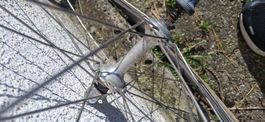 Campagnolo Nabe-Laufrad