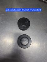 Triumph Thunderbird Gabelabdeckung-Schraube